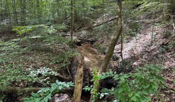 0 Holiday Lake Rd, Appomattox, VA 24522