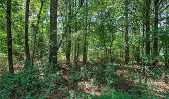 00 Crowe Springs Spur NW, Adairsville, GA 30103
