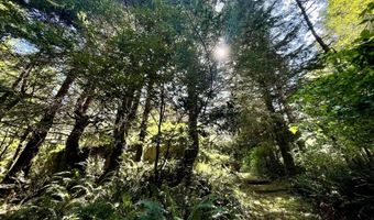95629 CAPE FERRELO Rd, Brookings, OR 97415