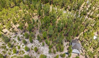 98 County Road 2266, Alpine, AZ 85920