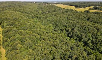 Private Drive Off Of Fr 1245, Aurora, MO 65605