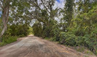 7009 129 Hwy, Bell, FL 32619