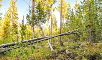Harris Road lot 10 Tbd, Anaconda, MT 59711