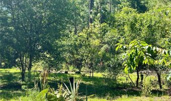 SE 152ND - RAVENSWOOD RD PARCEL B & C LOTS 16 17 Place, Altoona, FL 32702