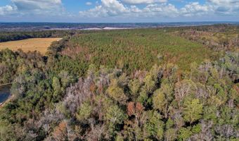 0 County Road 127, Banks, AL 36005