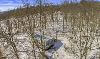 419 Algerine St, Afton, NY 13730