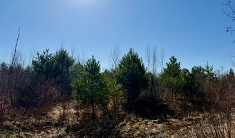 35504 Jackson Rd, Askov, MN 55704