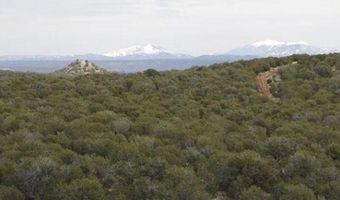 918 Wolf Rd, Ash Fork, AZ 86320