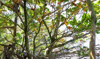 Keanae Rd, Hana, HI 96708