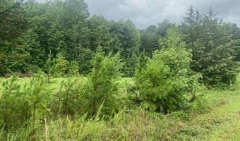 640 Leagan Dr, Blacksburg, SC 29702