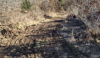 Farm Road 1245, Aurora, MO 65605