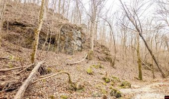 CR 19-A, Alton, MO 65606