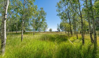 340 Holt Dr, Bigfork, MT 59911