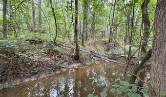 La Highway 442, Albany, LA 70711