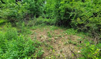 399 Bard Rd, Bennington, VT 05201