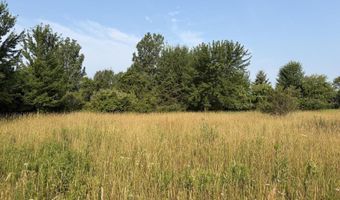 9653 52nd Ave, Allendale, MI 49401