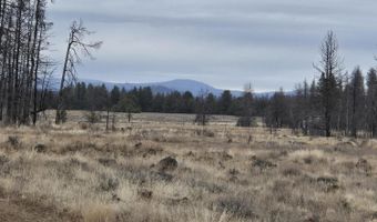 Bull Pine Road 173 Acres, Bly, OR 97622