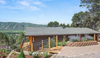 679 Pinon Dr, Basalt, CO 81621