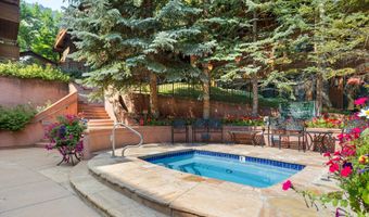 747 S Galena St 230 & 330, Aspen, CO 81611