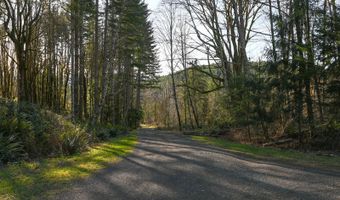 43911 NE COLUMBIA TIE Rd, Amboy, WA 98601