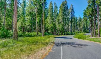 10 Timber Trail Ct, Arnold, CA 95223