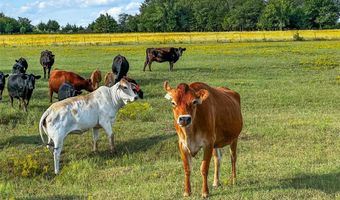 37588 Coker Rd, Asher, OK 74826