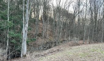 VL Lot 10 Brennan Road, Addison, NY 14801