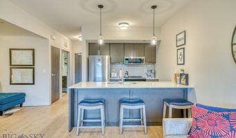 718 W Babcock Street 411, Bozeman, MT 59715