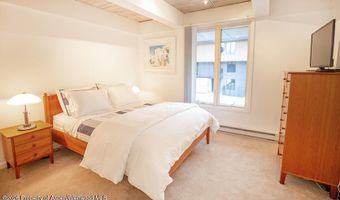1039 E Cooper Ave #41, Aspen, CO 81611
