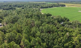 6049 21st Ave, Bell, FL 32619
