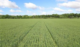 Highway 412 & Wpa RD, Alpena, AR 72611