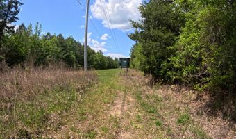 Christian Hts Road, Braxton, MS 39044