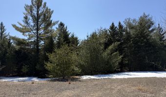 139 AC Witt Rd, Alpena, MI 49707