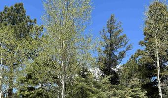 Lots 16 Lot17 Palo Flechado Ridge Road, Angel Fire, NM 87710