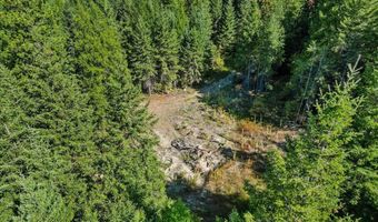 662 Homestead Hollow Rd, Careywood, ID 83809