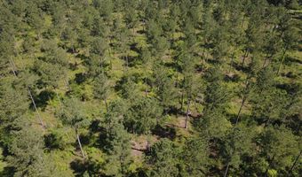 0 S County Road 33, Ashford, AL 36312