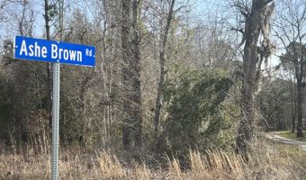 0 Ashe Brown Rd, Adams Run, SC 29426