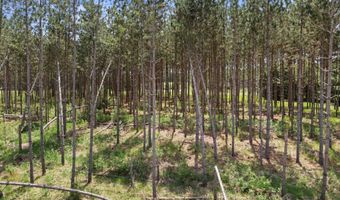 Chicago Avenue lot 2, Arkdale, WI 54613