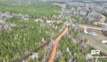 21000 Block Highway 21, Beatrice, AL 36425