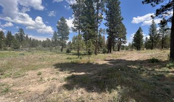 Bufflehead Drive, Bonanza, OR 97623