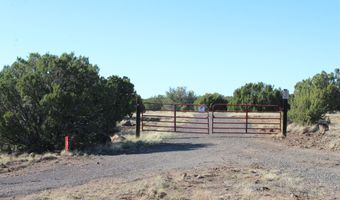 6 County Road 8052, Concho, AZ 85924