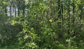 0001 Old Highway 471, Brandon, MS 39042