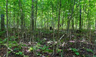 Double Bend Road, Argonne, WI 54511