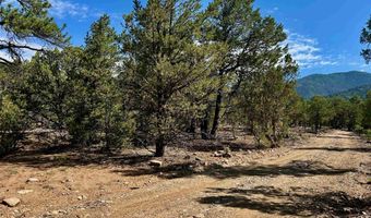 Tract B 266 Gallina Canyon Road, Valdez, NM 87580
