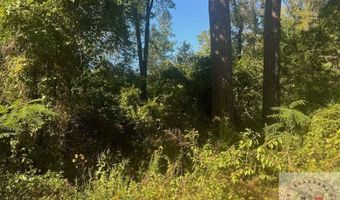 TBD Peyton Ave, Ashdown, AR 71822