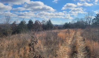 Hickory Flats Road, Ava, MO 65608