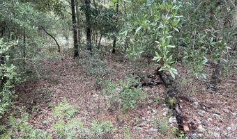 Girard Court lot 37, Alford, FL 32420