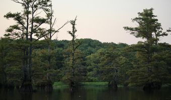 Bolivar Road, Benoit, MS 38725