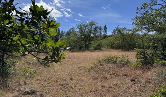 112 TIMBER Rd, Bickleton, WA 99322