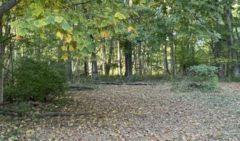 5681 Springhollow Ct, Avon, IN 46123